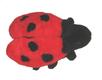 Marienkäfer  